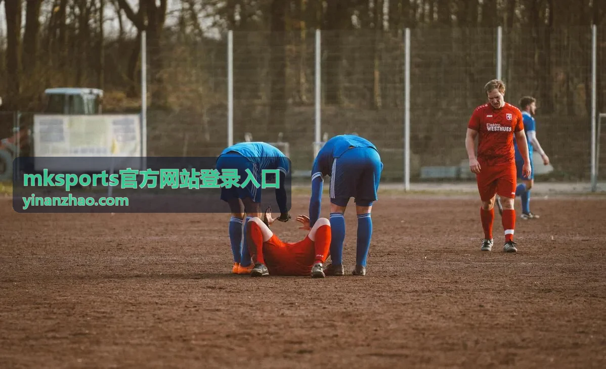 mksports官方网站登录入口账号登录流程的准备事项示意封面图
