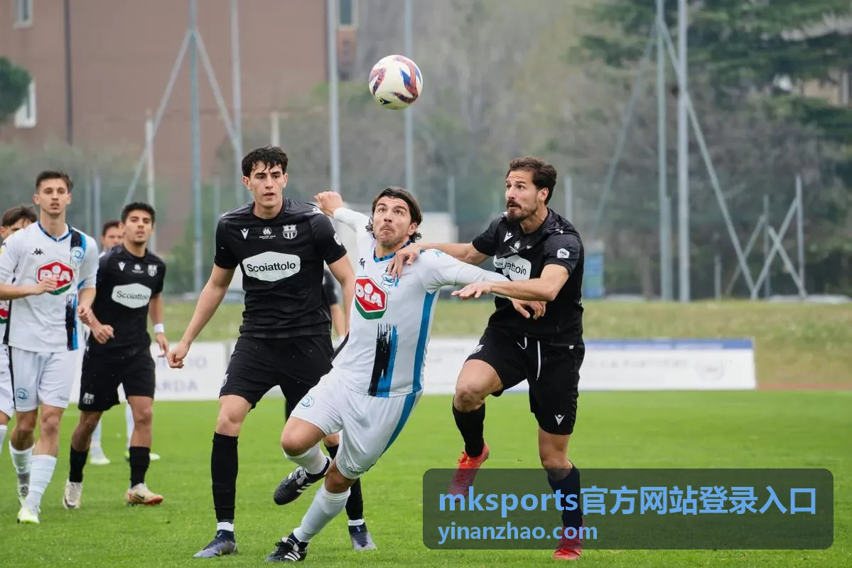 mksports官方网站登录入口更换设备登录时的流程说明配图