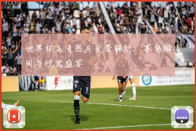 世界杯高清图片全景解析：赛场瞬间与视觉盛宴