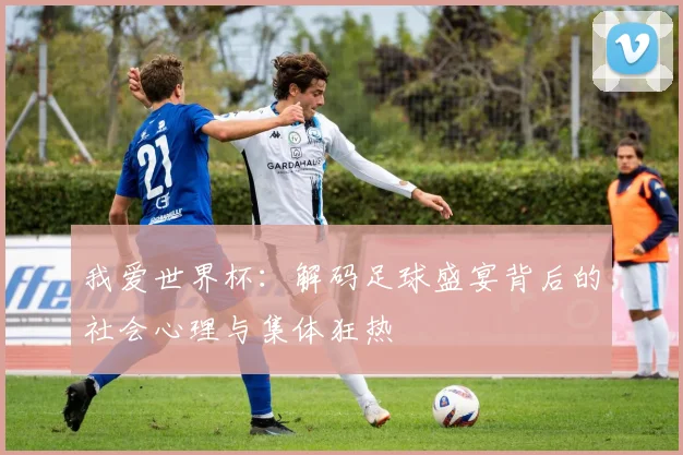 我爱世界杯：解码足球盛宴背后的社会心理与集体狂热