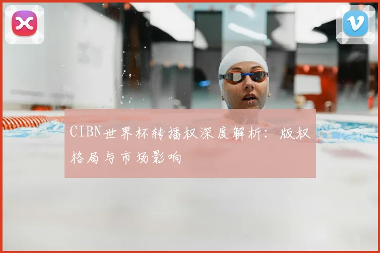 CIBN世界杯转播权深度解析:版权格局与市场影响
