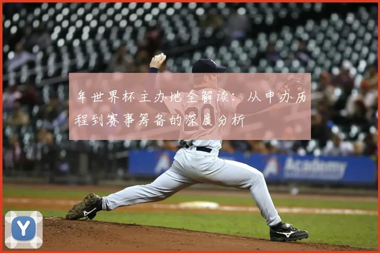 年世界杯主办地全解读:从申办历程到赛事筹备的深度分析