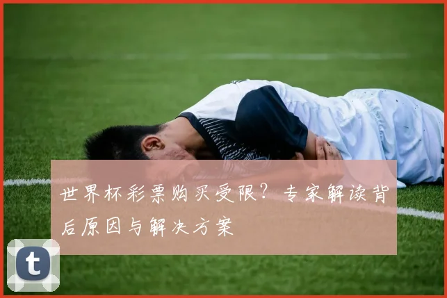 世界杯彩票购买受限?专家解读背后原因与解决方案