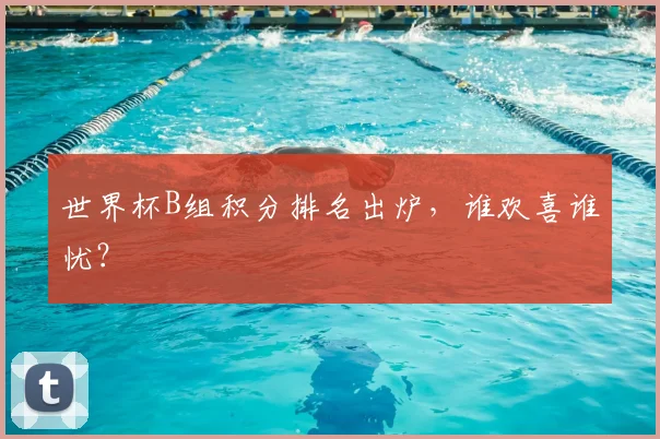 世界杯B组积分排名出炉，谁欢喜谁忧？