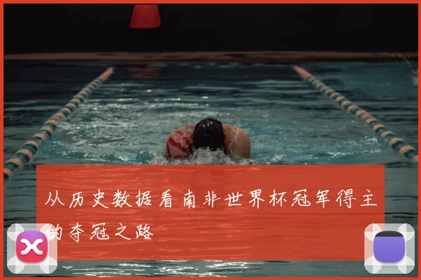 从历史数据看南非世界杯冠军得主的夺冠之路