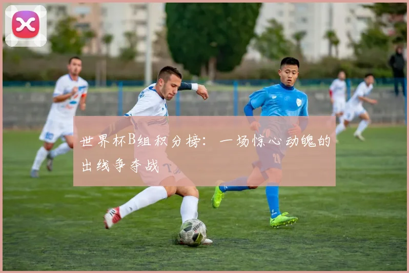 世界杯B组积分榜:一场惊心动魄的出线争夺战