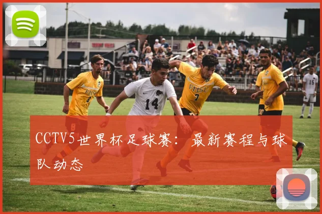CCTV5世界杯足球赛：最新赛程与球队动态