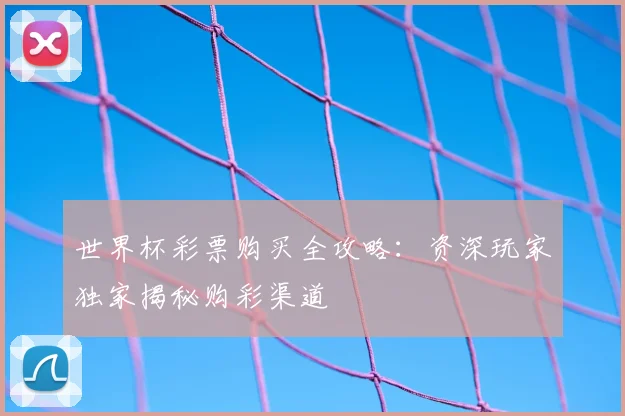 世界杯彩票购买全攻略：资深玩家独家揭秘购彩渠道