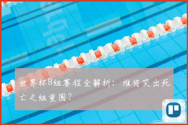 世界杯B组赛程全解析:谁将突出死亡之组重围?