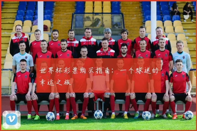 世界杯彩票购买指南：一个球迷的幸运之旅