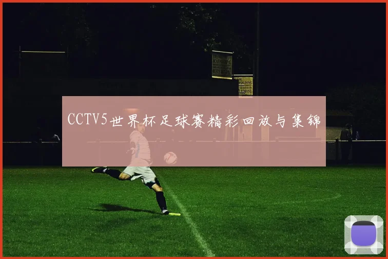CCTV5世界杯足球赛精彩回放与集锦