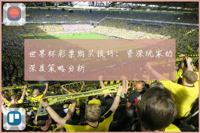 世界杯彩票购买技巧:资深玩家的深度策略分析